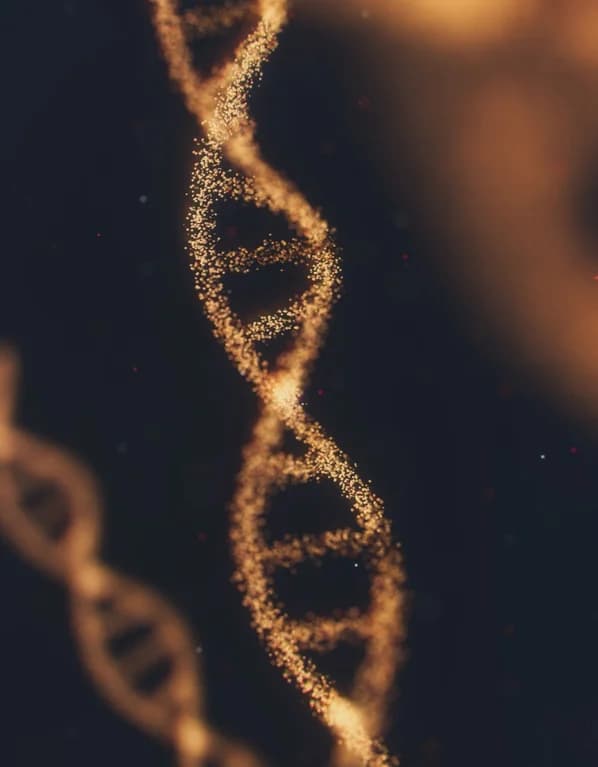 Scaling Culture Intentionally: How to Keep Your DNA as You Grow